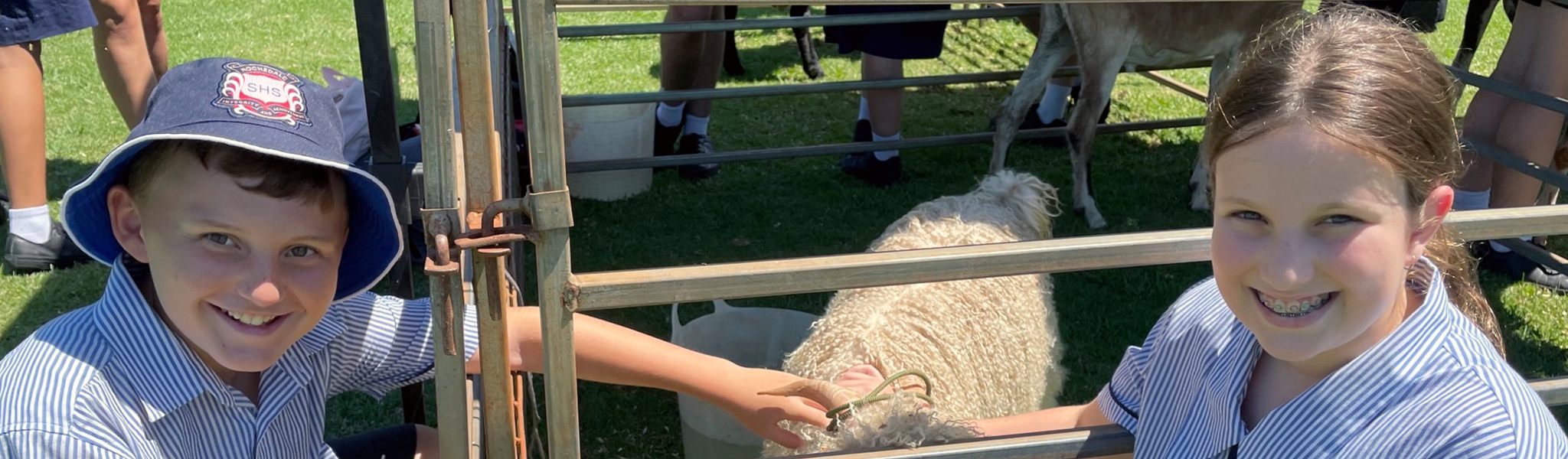 Rochedale State High School